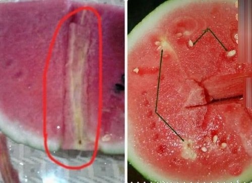 Chuyện lạ nhưng có thật: Trồng dưa hấu, nhưng lại không dám ăn chính thành quả của mình