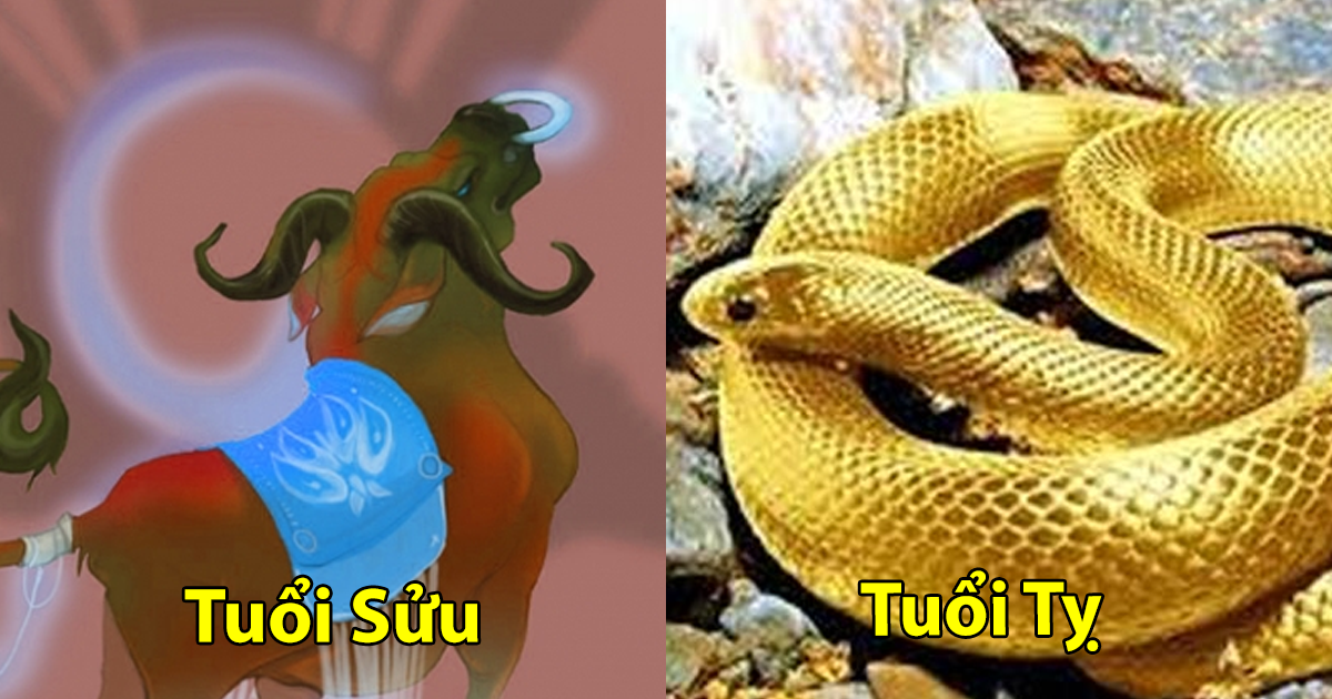 Trời sinh các con giáp này sống nội tâm, tình cảm luôn chân thành, với người khác lại đáng tin cậy