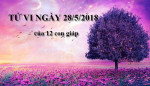 Tử vi 12 con giáp trong ngày 28/5/2018
