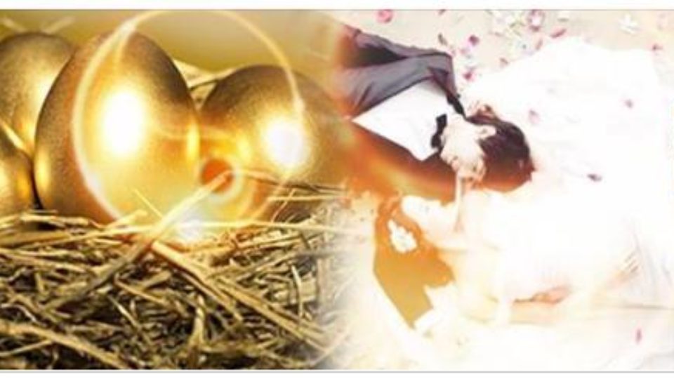 Vợ chồng hợp mệnh như vầy thì làm đâu thắng đấy, tiền vô như nước, giàu sang cả đời