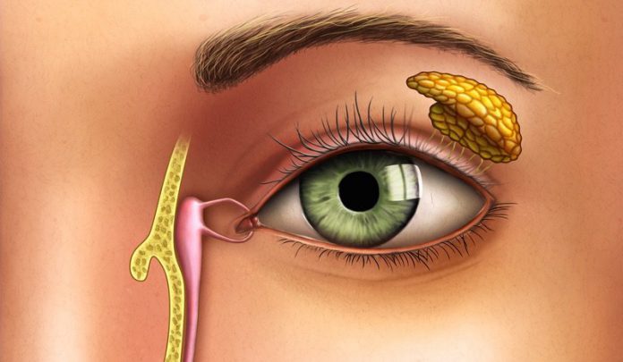 8 dấu hiệu bất thường ở mắt cảnh báo sức khỏe của bạn đang gặp nguy hiểm