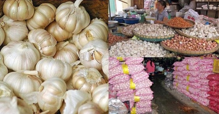 Cảnh báo: Tràn lan tỏi Trung Quốc chứa nhiều chất độc gây UNG THƯ, HỦY HOẠI THẦN KINH thậm chí TỬ VONG