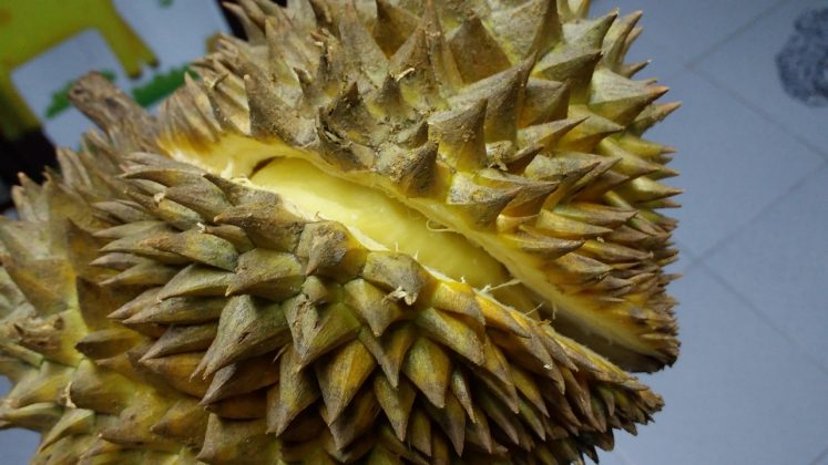 4 cách phân biệt sầu riêng chín cây và sầu riêng ngâm thuốc để đảm bảo an toàn sức khỏe