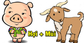 8 cặp con giáp khi đến với nhau sẽ hạnh phúc suốt đời, tiền bạc rủng rỉnh