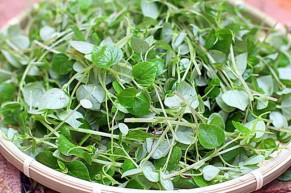 Đây là lý do vì sao dù đắt đến mấy bạn cũng nên mua rau càng cua về ăn