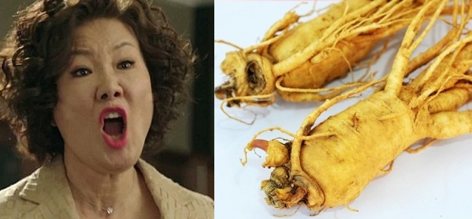 Cầm nhân sâm bồ biếu, mẹ chồng quay sang con dâu: "Nó moi chồng con bao nhiêu phải lấy lại tất nhé"