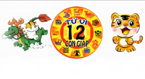 Tử vi 12 con giáp trong ngày 16/6/2018