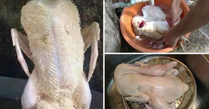 ‘Bí kíp’ nhổ lông vịt vừa sạch, vừa nhanh chỉ trong vài nốt nhạc , chị em nào cũng nên biết