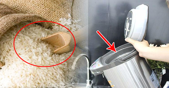 Bỏ thứ này vào phích nước, điều xảy ra sẽ khiến bạn “giật mình”