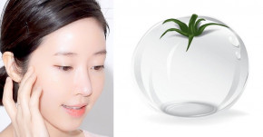 DA TRẮNG VÀ CĂNG ĐÉT chỉ 1-2 viên cà chua mỗi ngày không lo nổi mụn, không tắm trắng, không cần collagen