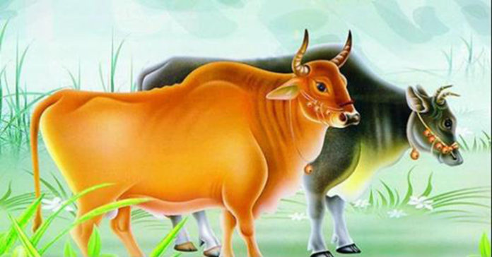 Sau cơn mưa trời lại sáng, khổ nào rồi cũng qua, 7 ngày tới 3 con giáp này đổi vận, tiền vô như nước, may mắn đến không ngừng