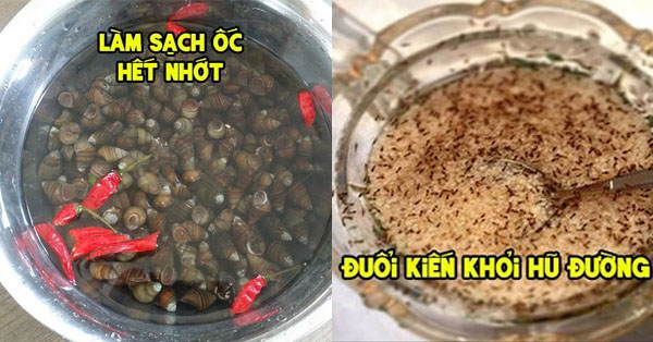 Những mẹo hay giúp chị em xử lý gọn lẹ nhiều tình huống ‘hóc búa’ trong cuộc sống