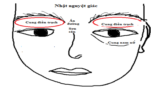 4 bộ phận trên gương mặt nếu phẫu thuật thẩm mỹ thì sẽ phá tướng, thay đổi vận mệnh con người