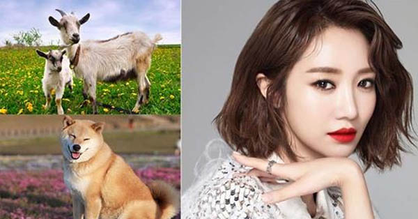 3 NÀNG GIÁP có nhân cách CAO QUÝ HƠN VÀNG, chỉ việc sống tốt là QUÝ NHÂN tự khắc tìm đến, cả đời “vô lo vô nghĩ”