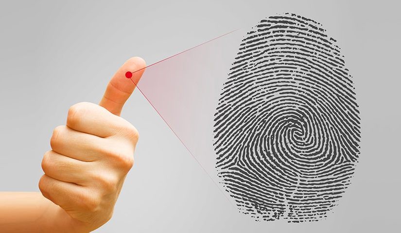 Mỗi người có kiểu vân tay khác nhau và nếu sở hữu vân tay kiểu này thì bạn sinh đã là người có biệt tài hiếm thấy