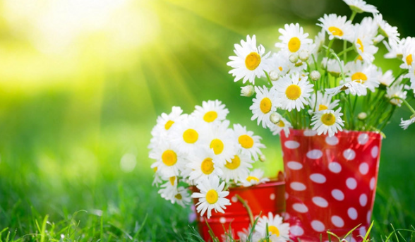 Tử vi tuần mới của 12 con giáp từ ngày 30/7 – 5/8/2018