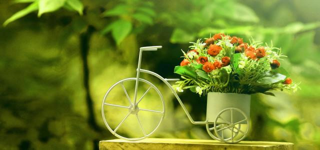 Tử vi của 12 con giáp trong ngày 2/8/2018