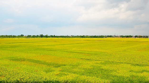 Tử vi của 12 con giáp trong ngày 4/8/2018