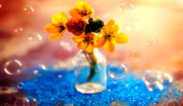 Tử vi của 12 con giáp trong ngày 8/8/2018