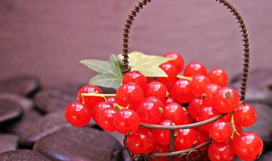 Tử vi của 12 con giáp trong ngày 9/8/2018