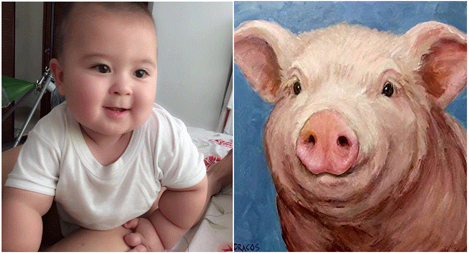 Em bé thuộc 4 con giáp này chính là ‘con trời’, trí tuệ vượt bậc, sinh ra để làm SẾP