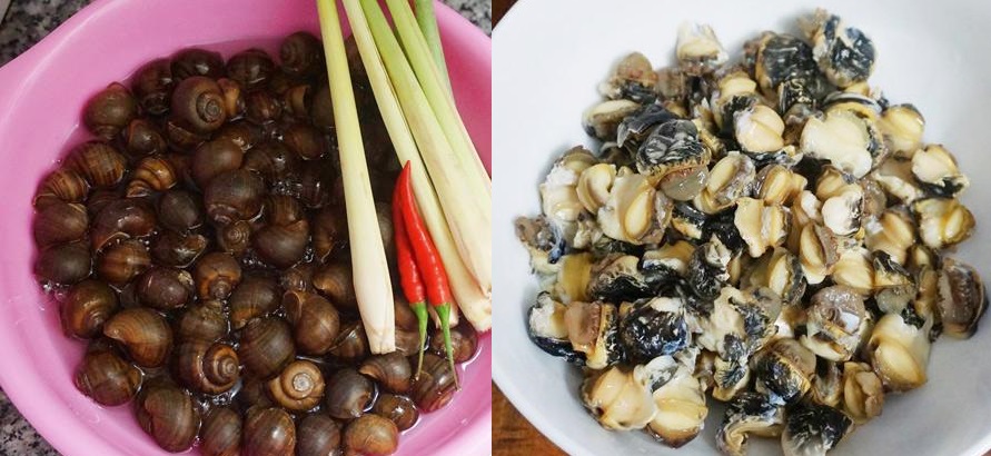 Ngày mưa chẳng cần ra quán mà vẫn được ăn ỐC XÀO SẢ ỚT dai dai, giòn giòn hấp dẫn