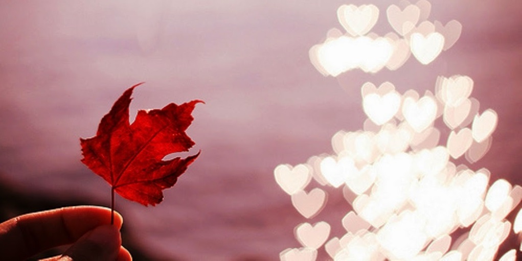 Tử vi của 12 con giáp trong ngày 10/8/2018