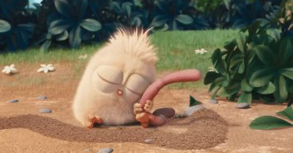 Trong cuộc sống, tìm được 1 đứa bạn TRI KỶ còn quý hơn ngàn người bạn ‘xã giao’