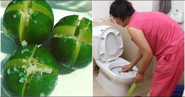 7 thứ tự nhiên chỉ cần để vào nhà vệ sinh là HẾT mùi hôi vĩnh viễn, vi khuẩn tự biến mất