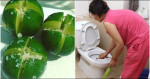 7 thứ tự nhiên chỉ cần để vào nhà vệ sinh là HẾT mùi hôi vĩnh viễn, vi khuẩn tự biến mất