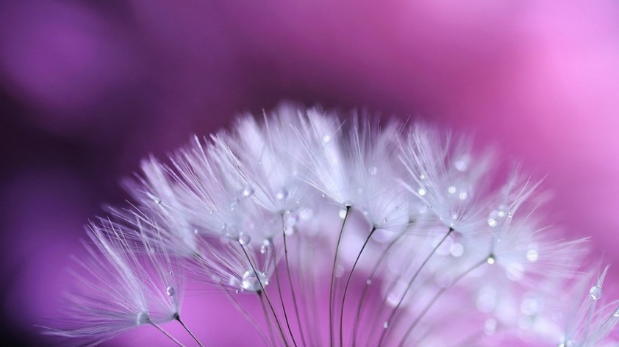 Tử vi của 12 con giáp trong ngày 23/8/2018