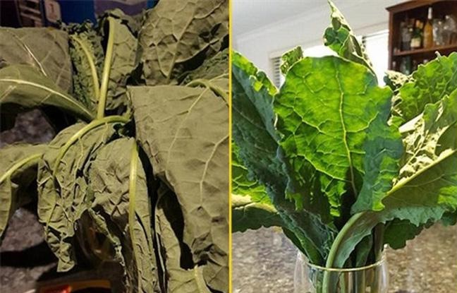 Bà mẹ nội trợ “phù phép” bó rau héo rũ rượi thành tươi như vừa mới hái bằng cách cực dễ, chị em đua nhau làm theo