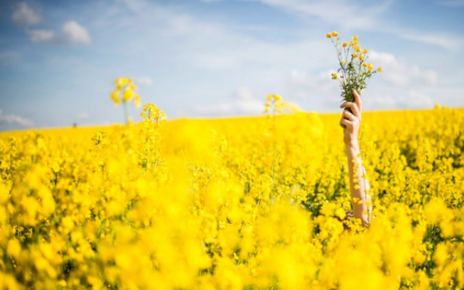 Tử vi của 12 con giáp trong tuần mới từ ngày 27/8 – 2/9/2018