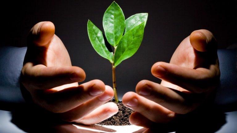 Đã sống kiếp người, nhất định phải đặt 2 chữ này lên vị trí hàng đầu!