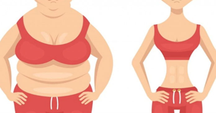 6 động tác đốt chất béo, giúp bạn loại bỏ vòng phao ở phần bụng hiệu quả