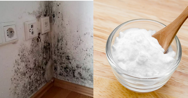 4 cách đơn giản LOẠI BỎ nấm mốc trong nhà sau 5 phút, vĩnh viễn không quay lại