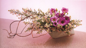 Tử vi của 12 con giáp trong ngày 14/9/2018