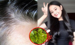7 Mẹo chữa tóc bạc sớm đơn giản, hiệu quả không cần tốn tiền nhuộm tóc hay mua thuốc