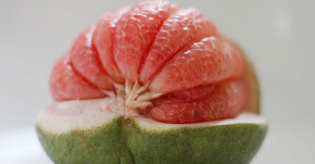 Mách bạn 3 thực đơn ăn kiêng bằng bưởi giúp cân nặng giảm ‘vù vù’, vòng eo săn chắc, đùi thon gọn sau 10 ngày