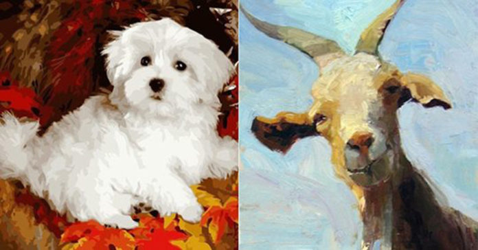 Thánh thiện lại hết lòng hy sinh vì người khác 3 con giáp này rất có hậu, “hồng phúc tề thiên”