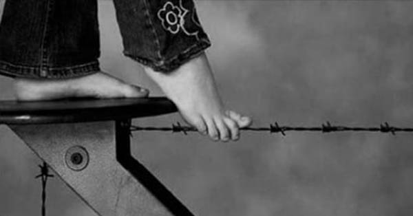 Gặp khó khăn đừng vội cúi đầu, bởi đường đời càng chông gai thì hậu vận càng tốt đẹp