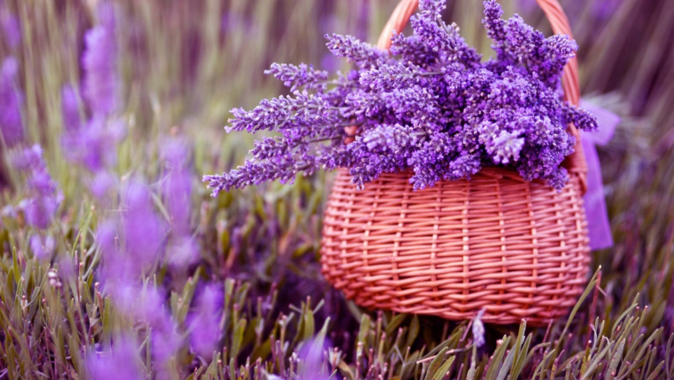 Tử vi của 12 con giáp trong ngày 28/9/2018