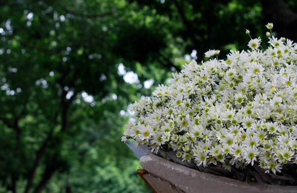 Tử vi của 12 con giáp trong ngày 1/10/2018