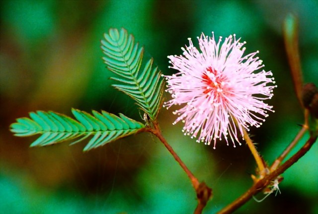 Tử vi của 12 con giáp trong ngày 2/10/2018