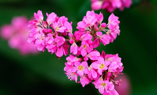 Tử vi của 12 con giáp trong ngày 5/10/2018