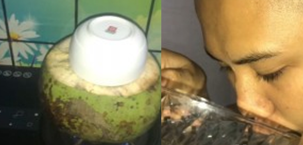 Đặt quả dừa nướng trên bếp ga, nửa tiếng sau có ngay thuốc chữa dạ dày khỏi triệt để từ Ấn Độ