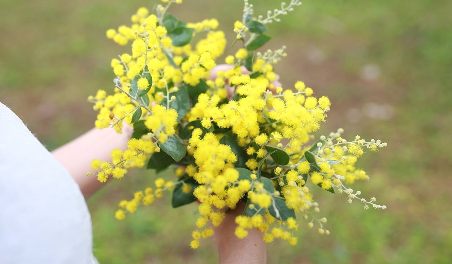 Tử vi của 12 con giáp trong ngày 6/10/2018