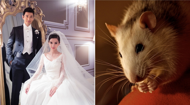 Càng cuối năm vận đỏ càng tăng, 3 tuổi nên kết hôn, mua nhà để đổi đời thành sếp lớn