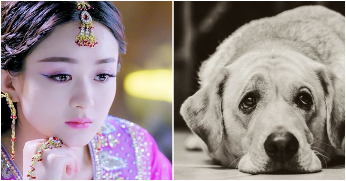 Tuần này: 4 con giáp đen đủ đường, họa từ miệng chưa hết còn bị chơi xấu sau lưng