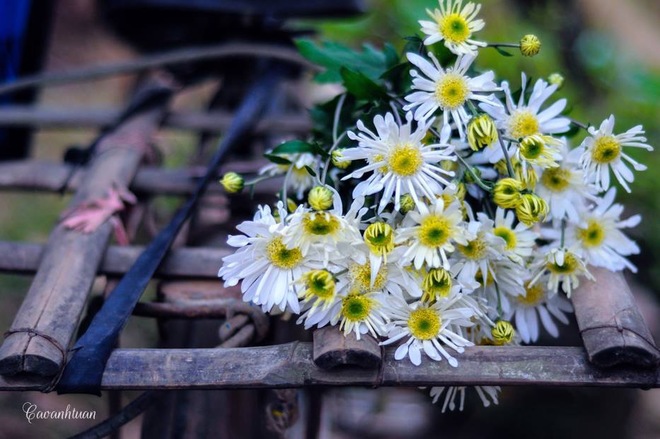 Tử vi  của 12 con giáp trong 6 ngày 12/10/2018